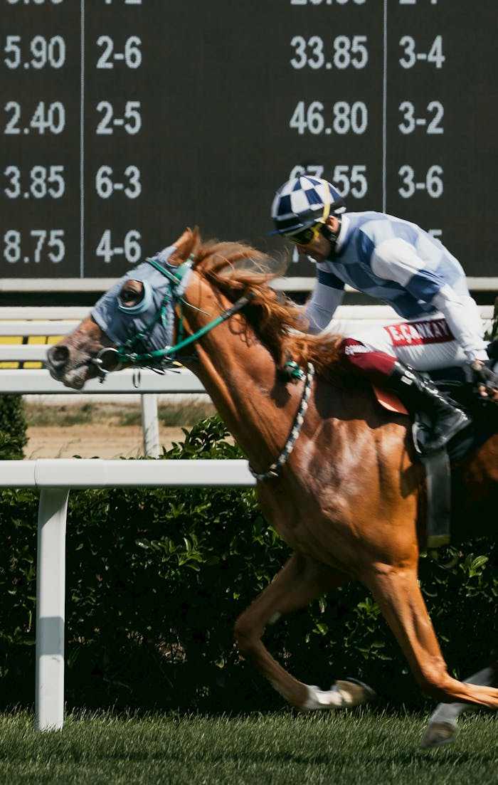 Dynamic image of a jockey riding a horse during a race, capturing speed and determination.